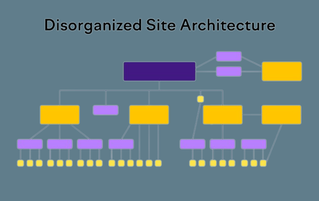 Website Architecture and Structure