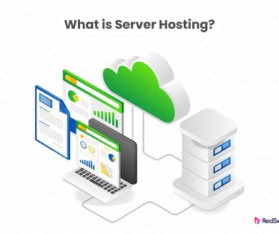 What-is-Server-Hosting_-1-1024x687-removebg-preview